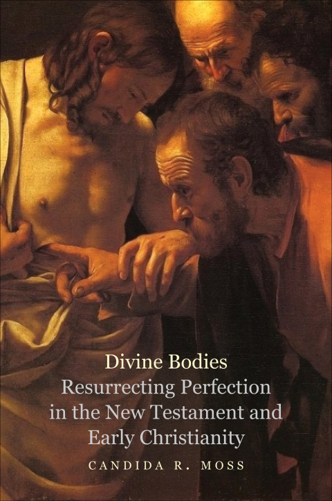 Cover image for book Divine Bodies