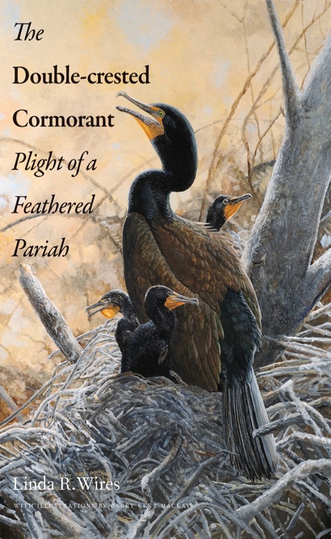 Cover image for book The Double-crested Cormorant