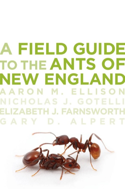 Cover image for book A Field Guide to the Ants of New England