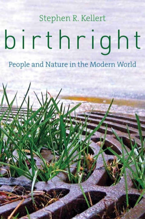 Cover image for book Birthright