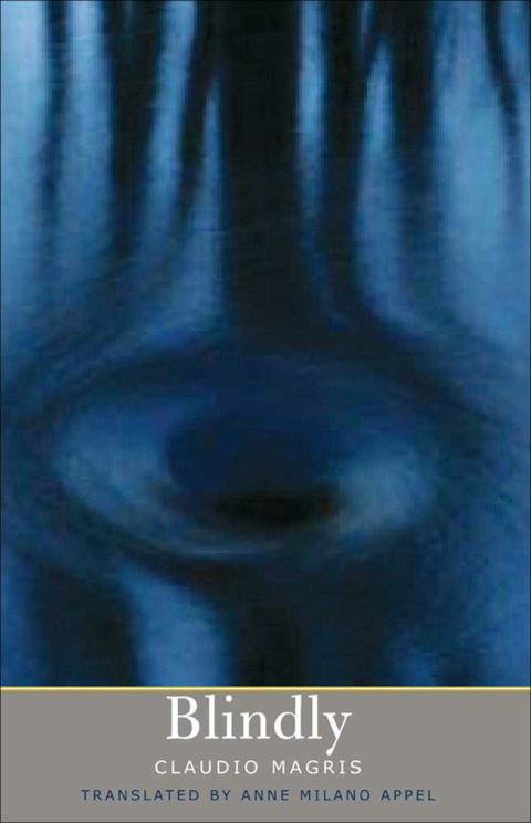 Cover image for book Blindly