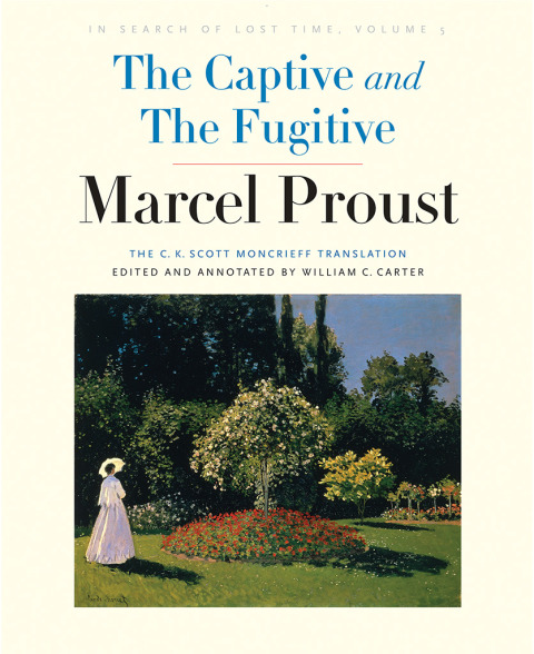 Cover image for book The Captive and The Fugitive