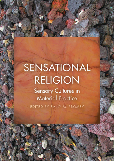 Cover image for book Sensational Religion
