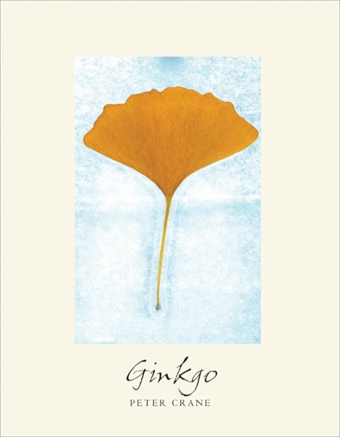 Cover image for book Ginkgo