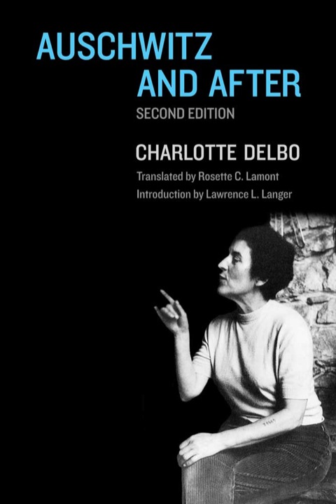 Cover image for book Auschwitz and After