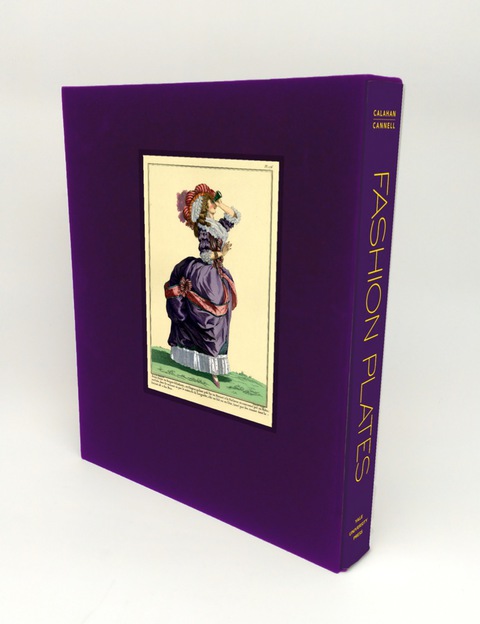 Cover image for book Fashion Plates