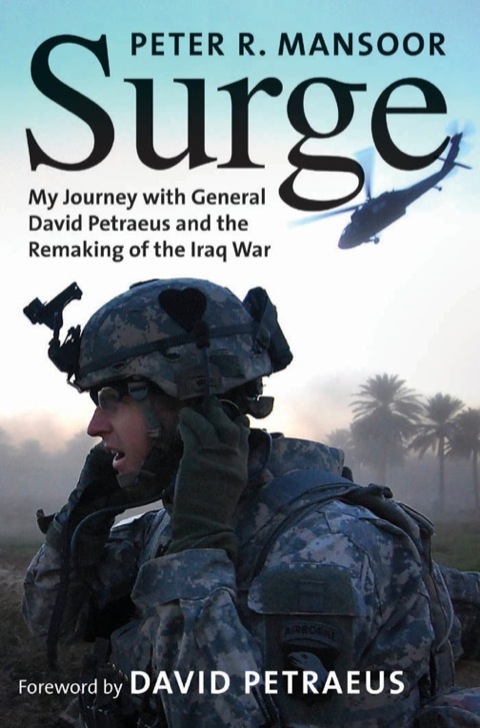 Cover image for book Surge