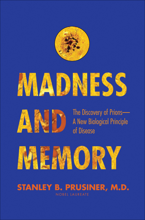 Cover image for book Madness and Memory