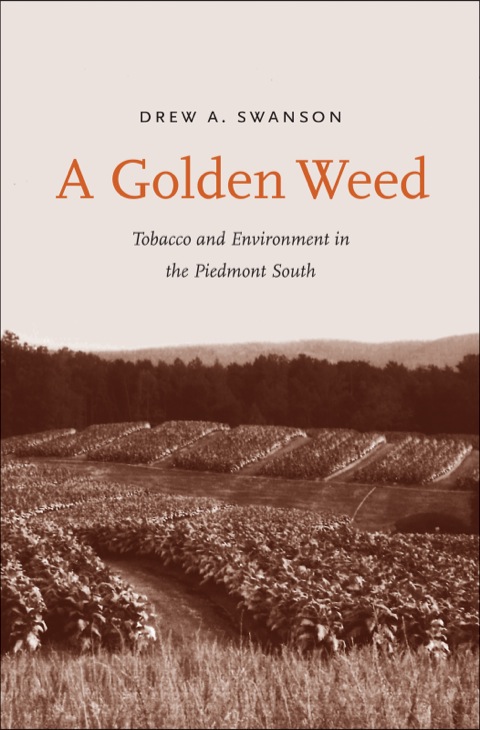 Cover image for book A Golden Weed