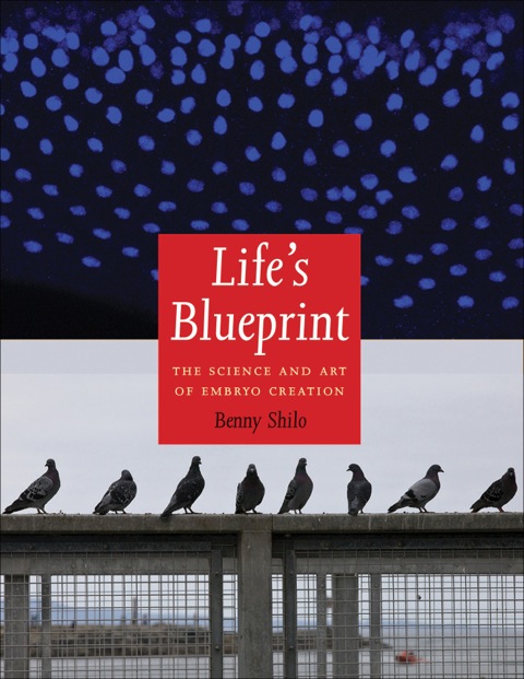 Cover image for book Life's Blueprint