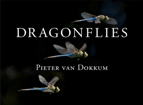 Cover image for book Dragonflies