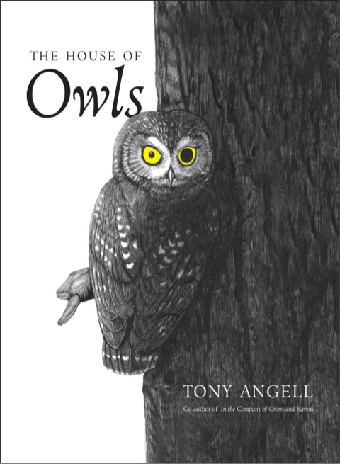 Cover image for book The House of Owls