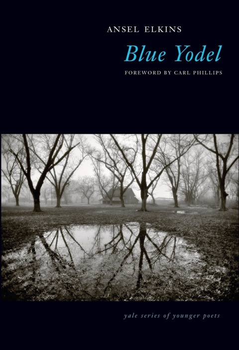 Cover image for book Blue Yodel