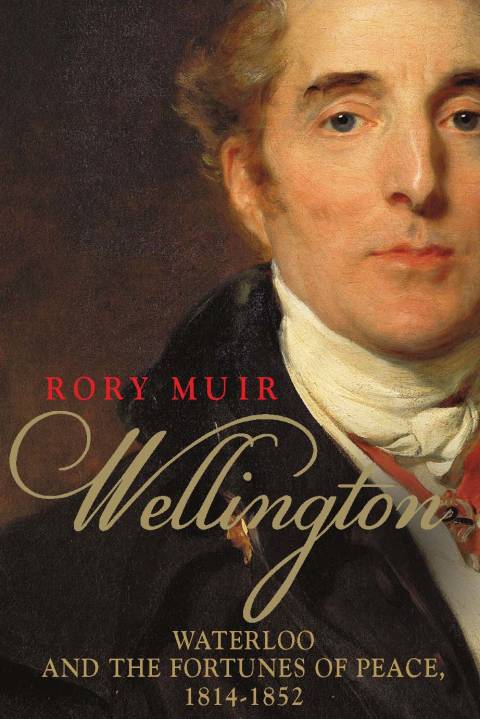 Cover image for book Wellington: Waterloo and the Fortunes of Peace 1814–1852