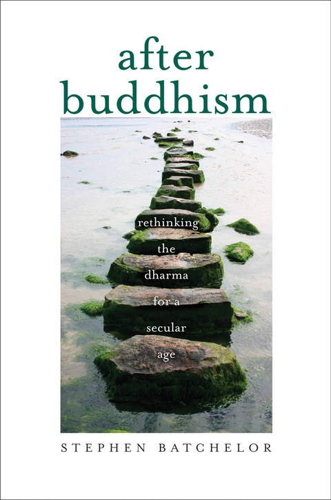 Cover image for book After Buddhism