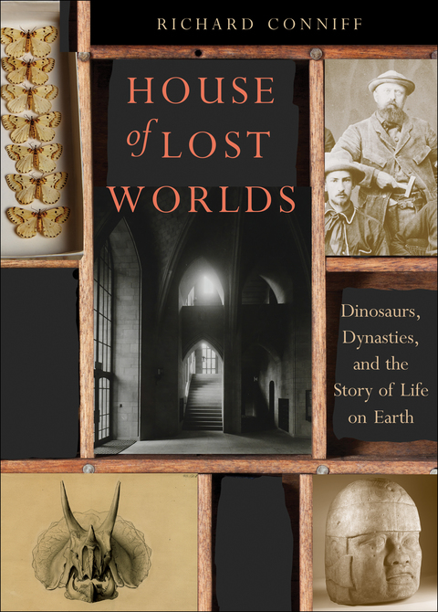 Cover image for book House of Lost Worlds
