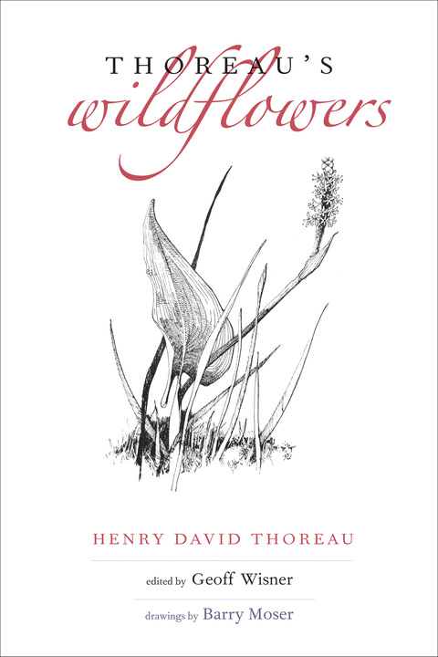 Cover image for book Thoreau's Wildflowers