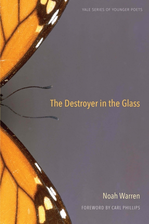 Cover image for book The Destroyer in the Glass