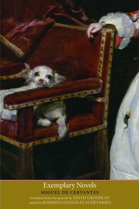 Cover image for book Exemplary Novels
