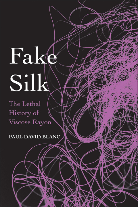 Cover image for book Fake Silk