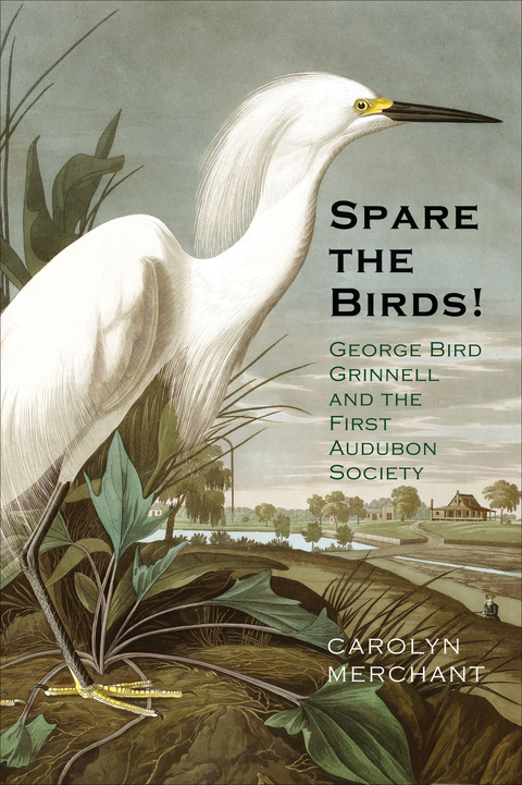 Cover image for book Spare the Birds!