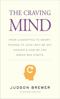صورة الغلاف: The Craving Mind: From Cigarettes to Smartphones to LoveWhy We Get Hooked and How We Can Break Bad Habits 9780300223248
