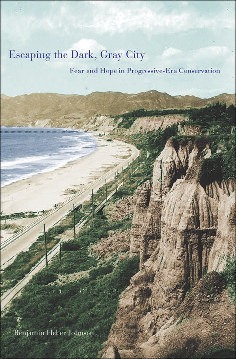 Cover image for book Escaping the Dark, Gray City