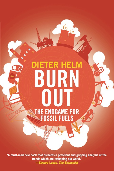 Cover image for book Burn Out