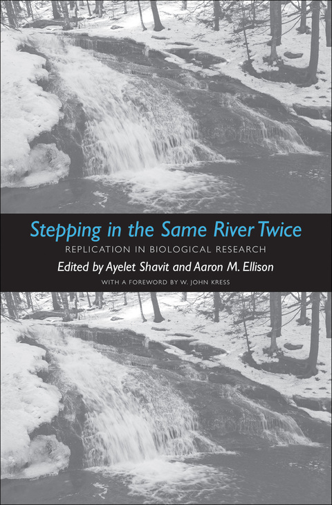 Cover image for book Stepping in the Same River Twice