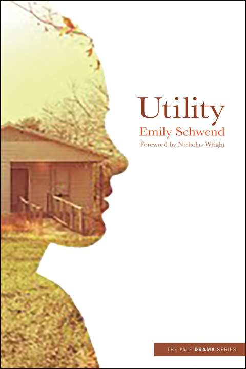 Cover image for book Utility