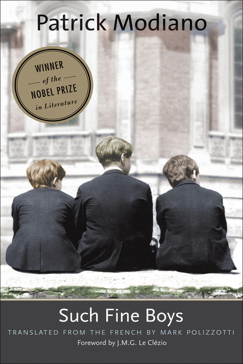 Cover image for book Such Fine Boys
