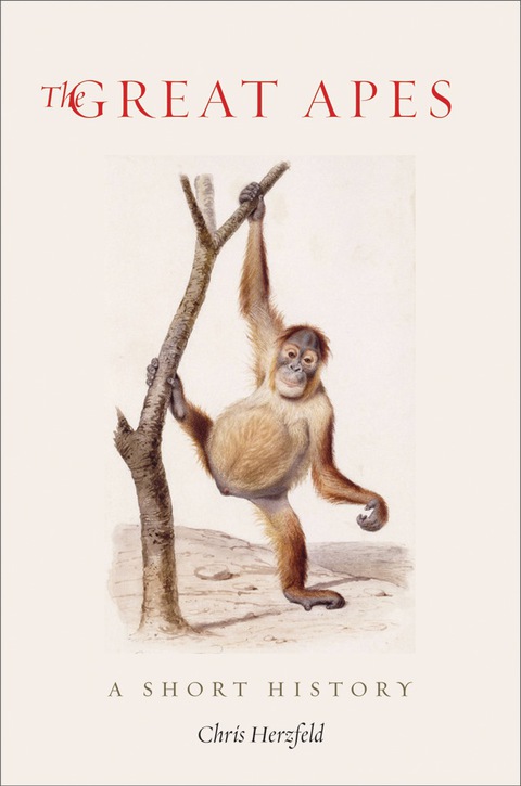 Cover image for book The Great Apes