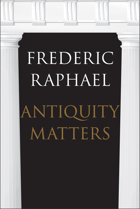 Cover image for book Antiquity Matters