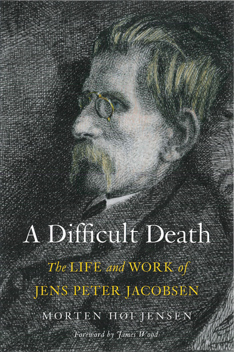 Cover image for book A Difficult Death