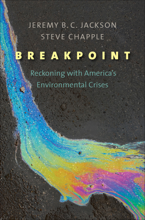 Cover image for book Breakpoint