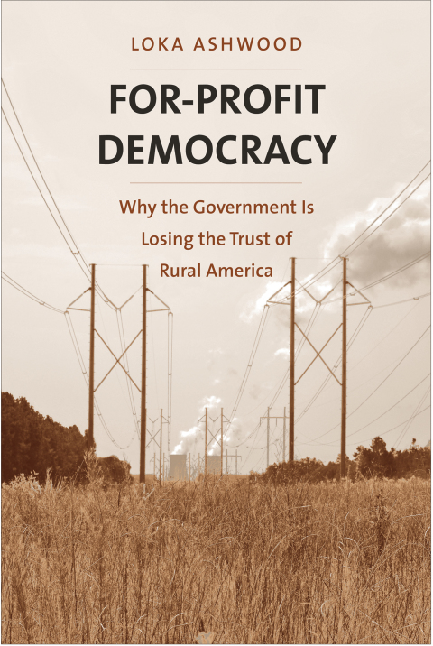 Cover image for book For-Profit Democracy