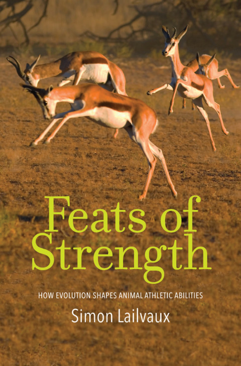 Cover image for book Feats of Strength