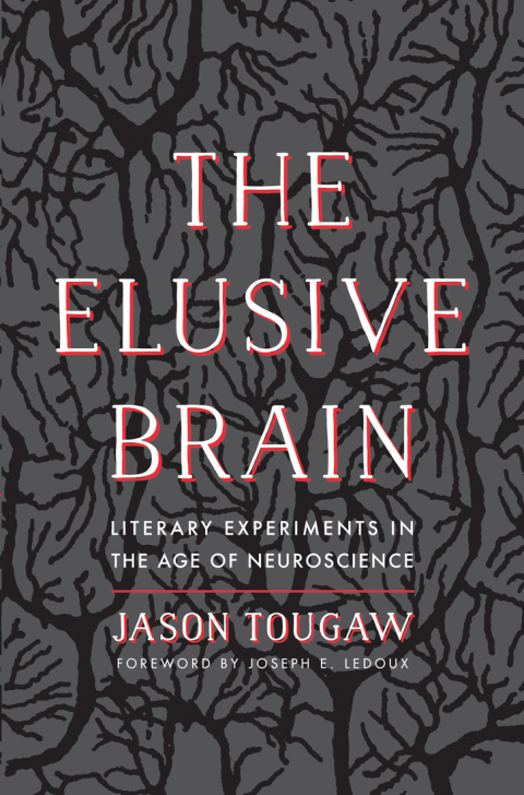 Cover image for book Elusive Brain