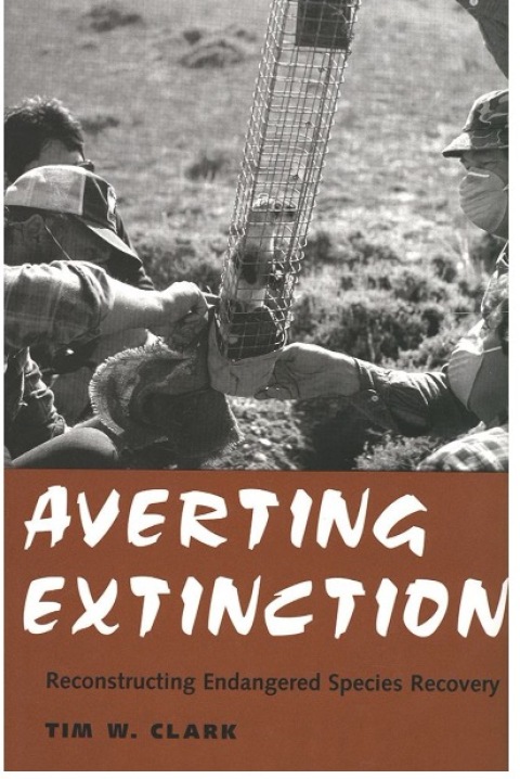 Cover image for book Averting Extinction