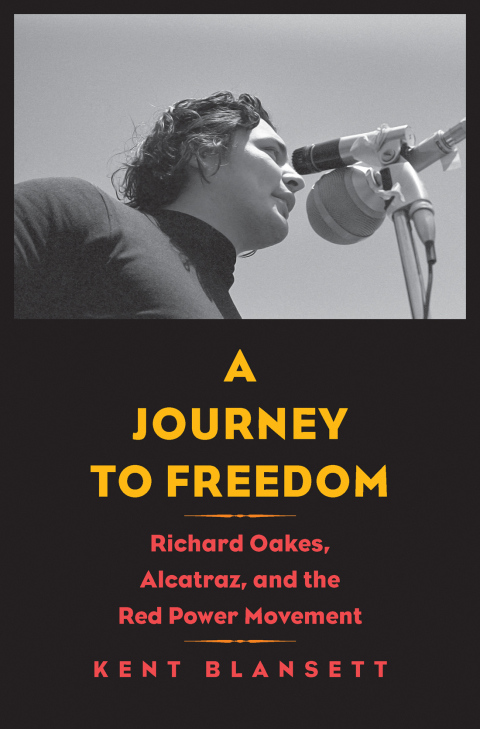 Cover image for book Journey to Freedom