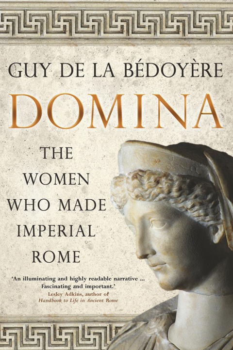 Cover image for book Domina
