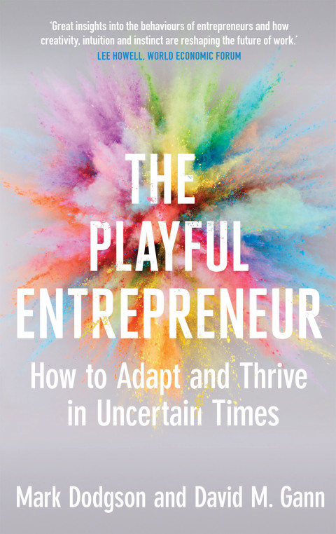 Cover image for book The Playful Entrepreneur