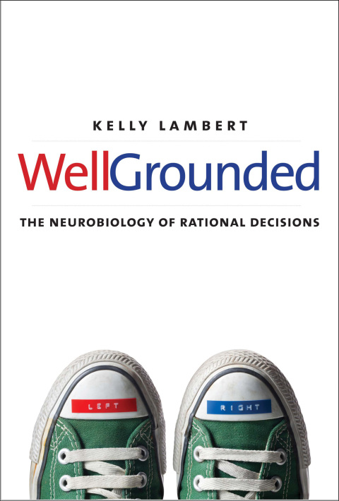 Cover image for book Well-Grounded
