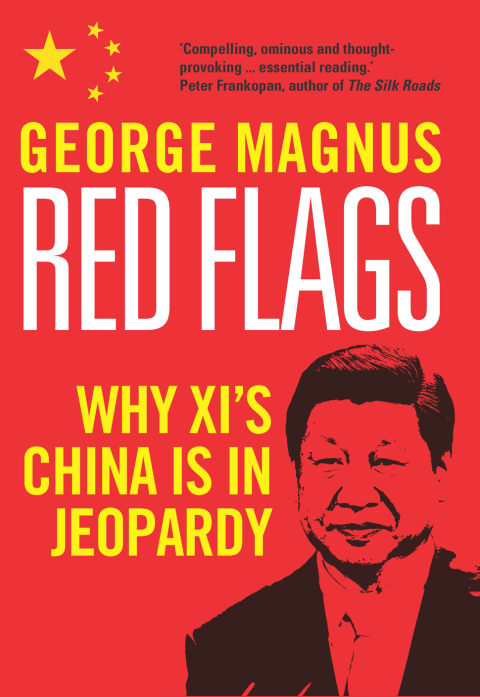Cover image for book Red Flags