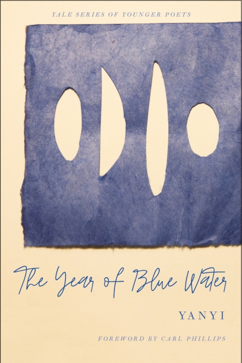 Cover image for book The Year of Blue Water