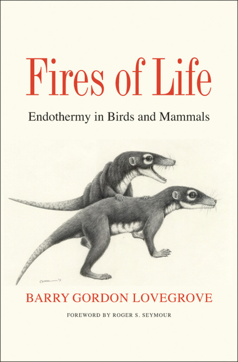 Cover image for book Fires of Life