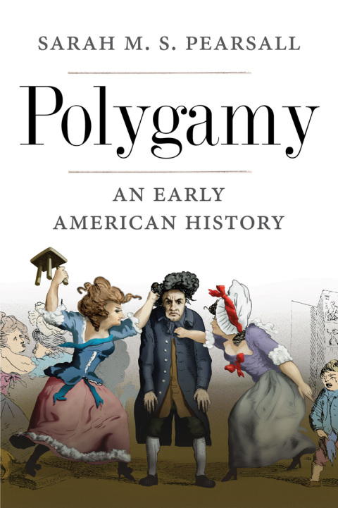 Cover image for book Polygamy