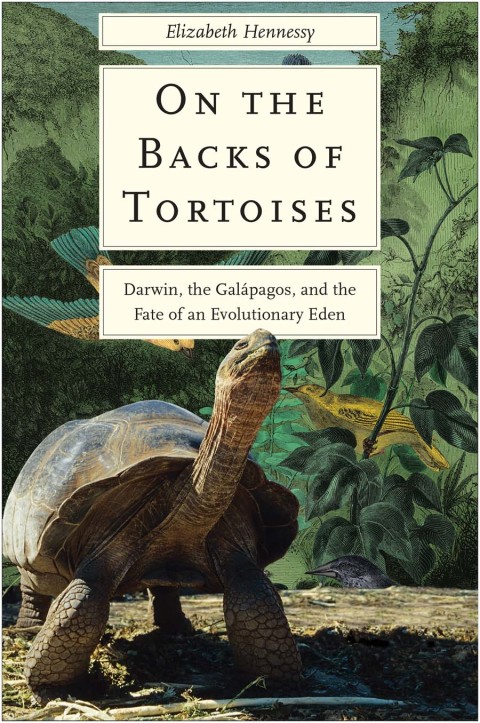 Cover image for book On the Backs of Tortoises