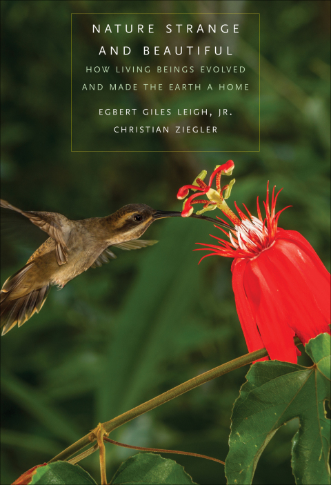 Cover image for book Nature Strange and Beautiful