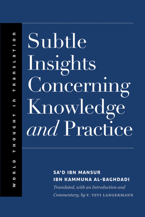 Cover image for book Subtle Insights Concerning Knowledge and Practice